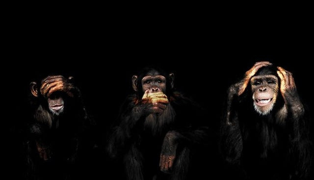 Abstract Monkey Canvas Wall Art – Modern Spray Painted Frameless Decorative Painting