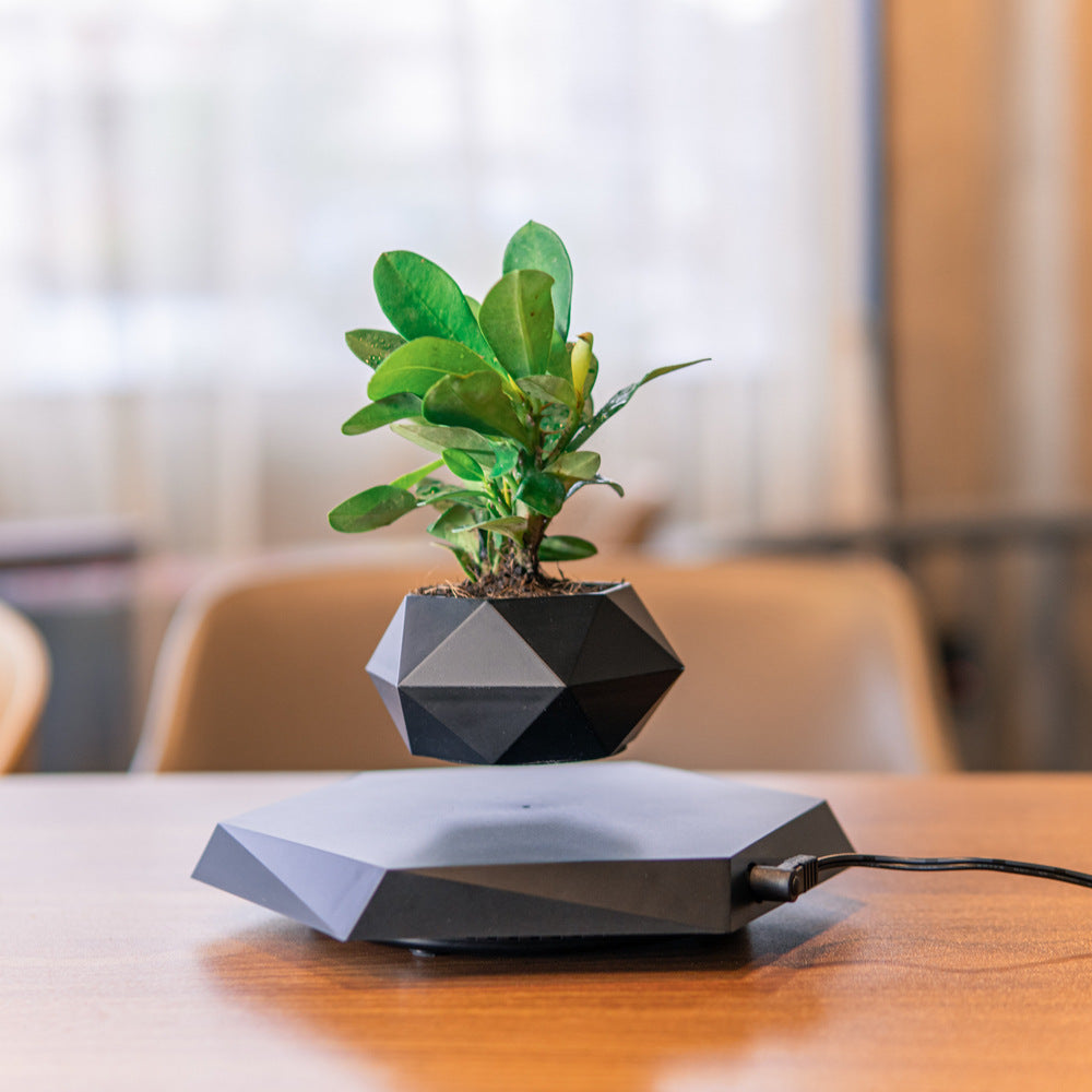 Magnetic Levitating Flower Pot – Floating Bonsai Air Planter with Hexagonal Wood Grain Base for Home & Office Desk Decor – Creative Gift for Plant Lovers