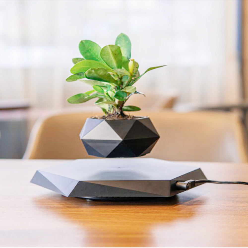 Magnetic Levitating Flower Pot – Floating Bonsai Air Planter with Hexagonal Wood Grain Base for Home & Office Desk Decor – Creative Gift for Plant Lovers
