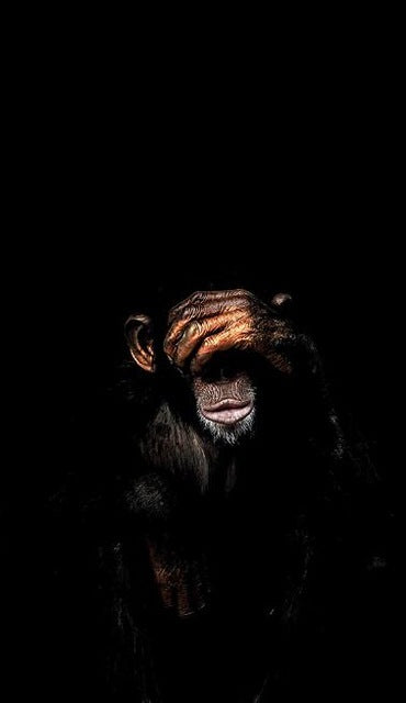 Abstract Monkey Canvas Wall Art – Modern Spray Painted Frameless Decorative Painting